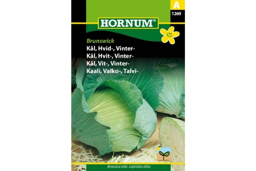 🎁 Hvitkål 'Brunswick' – Utbytterik Vinterkål med Mild Smak (100% off)