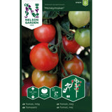 Tomat ‘Moneymaker’ – klassisk og smakfull salattomat