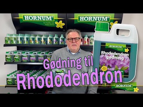 Rhododendrongjødsel Flytende, 1 L – Spesialgjødsel for Sunn og Kraftig Vekst