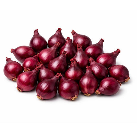Setteløk varmebehandlet Red Comred til dyrking i kjøkkenhagen.
