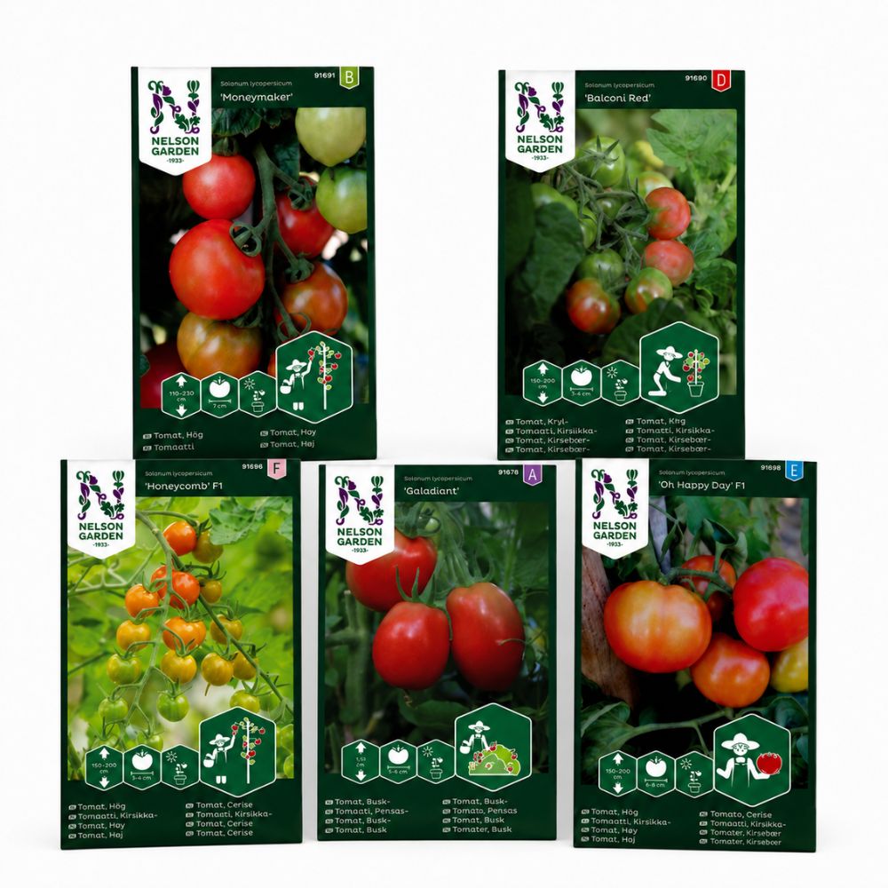 Fem forskjellige tomatsorter fra Nelson Garden med modne røde og gule tomater på plantene