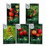 Fem forskjellige tomatsorter fra Nelson Garden med modne røde og gule tomater på plantene