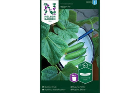 Liten potteplante i veksthus med små, grønne agurker.