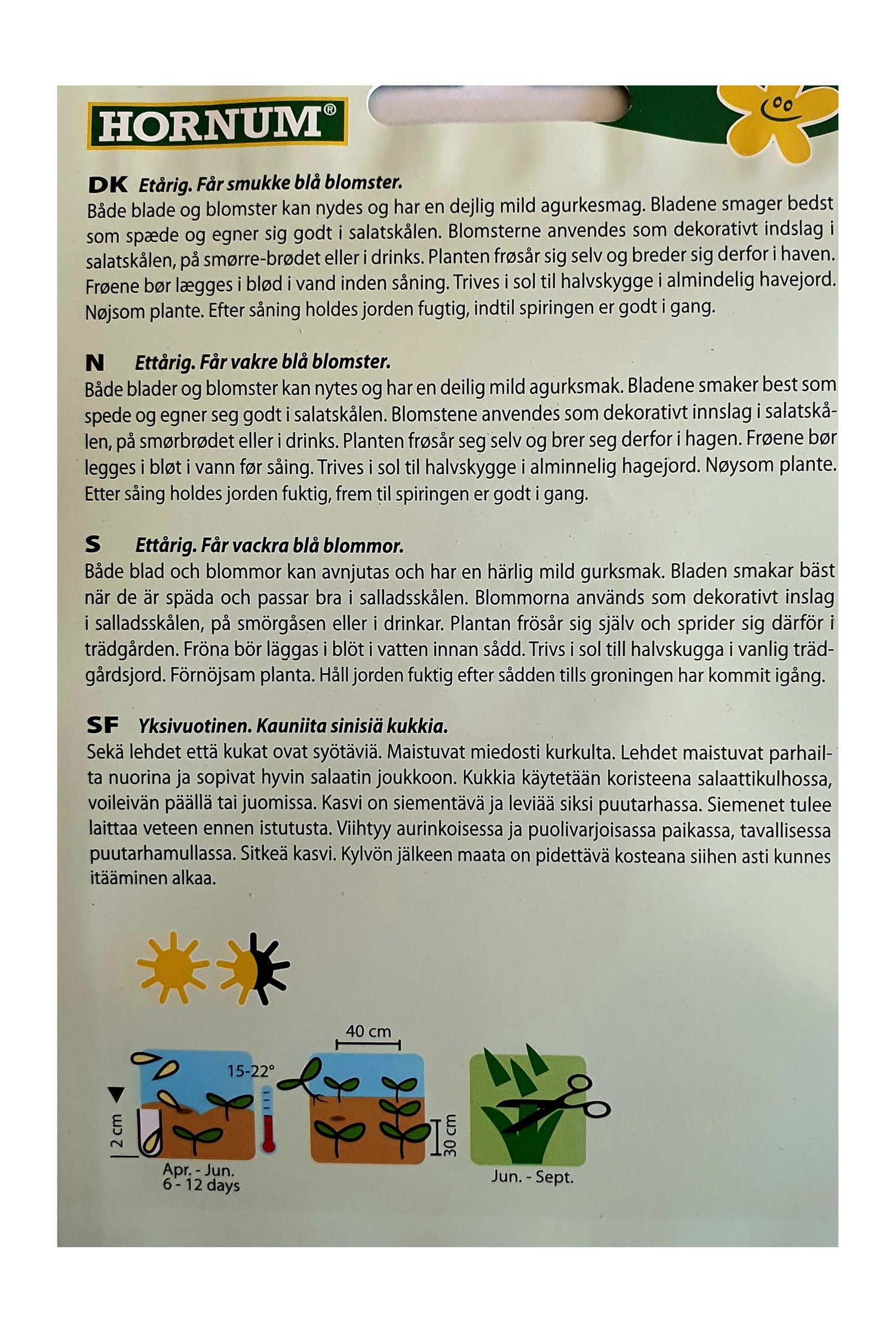 Agurkurt (Borretsch) – Spiselig urt med blå blomster