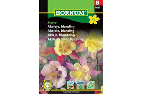 Fargerike akeleieblomster i ulike former og nyanser i blomsterbed.