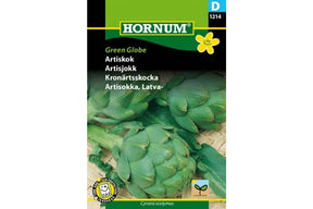 Artisjokkplante med store, runde knopper klare for innhøsting.