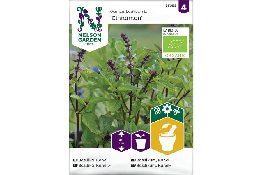 Kanelbasilikum 'Cinnamon' – Aromatisk og Økologisk Urteperle