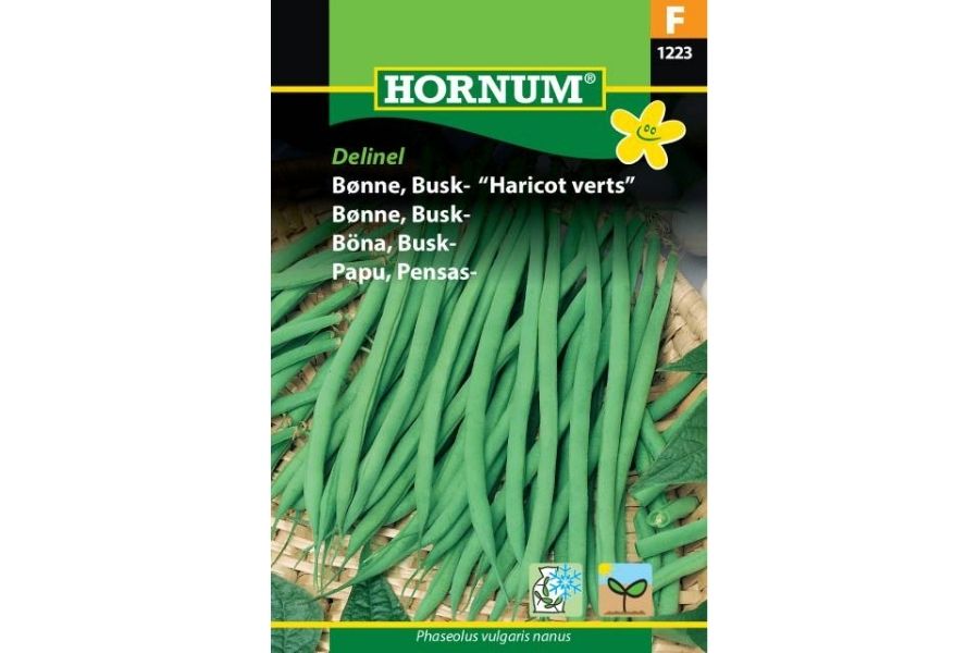 Bønne, Busk "Haricot verts" Delinel