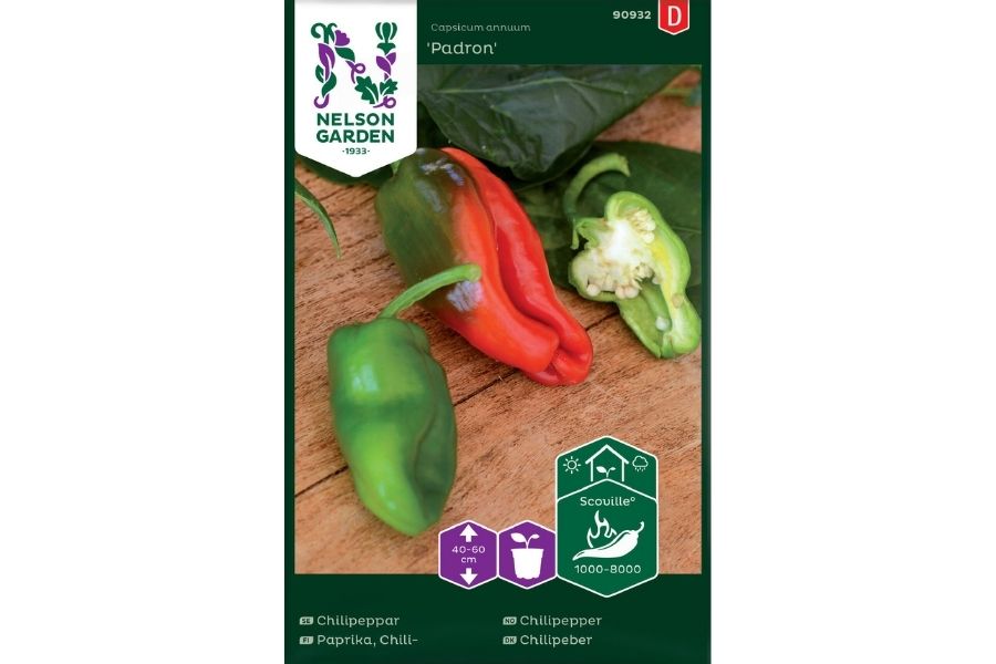 Chilipepper, Padron