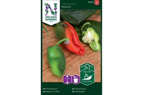 Bildet viser små, grønne Padrón-chilipepper på hvit bakgrunn.
