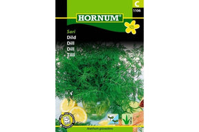 Aromatisk dillplante med rask vekst og friske grønne blader.