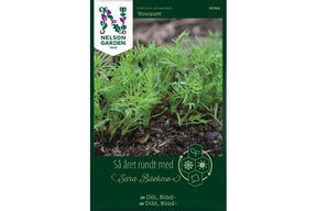 Bouquet-dill med tette, aromatiske blader til fersk bruk.
