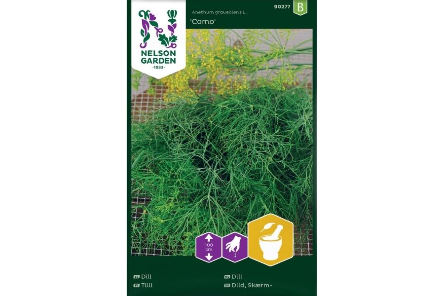 Dill 'Como' – Blad- og Krondill