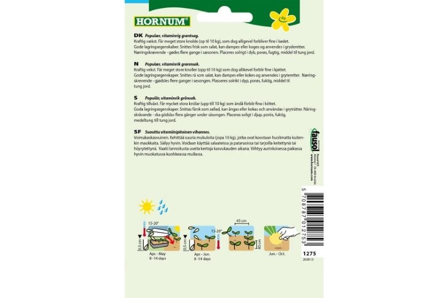 Kål, Knutekål Superschmelz – Stor, sprø og lagringsdyktig grønnsak