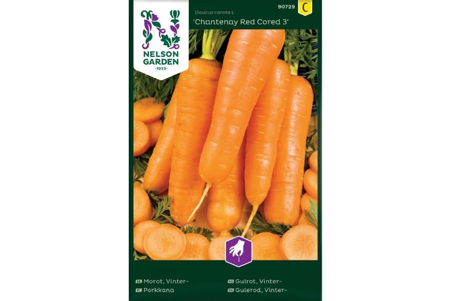 Gulrot 'Chantenay Red Cored 3' – Robust og Allsidig Vintergulrot
