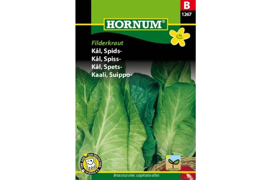 Kål 'Spiss Filderkraut' – Tradisjonell tysk hodekål for surkål og matlaging