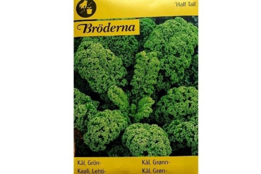 Grønnkål 'Half Tall' – Praktisk og Allsidig Vintergrønnsak