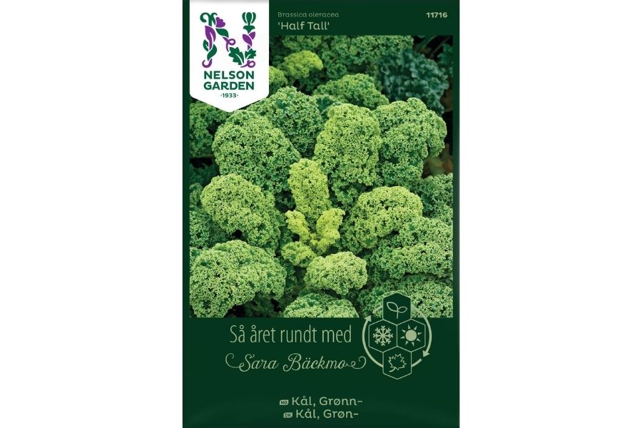 Kål, Grønn-, Half Tall, halvhøy