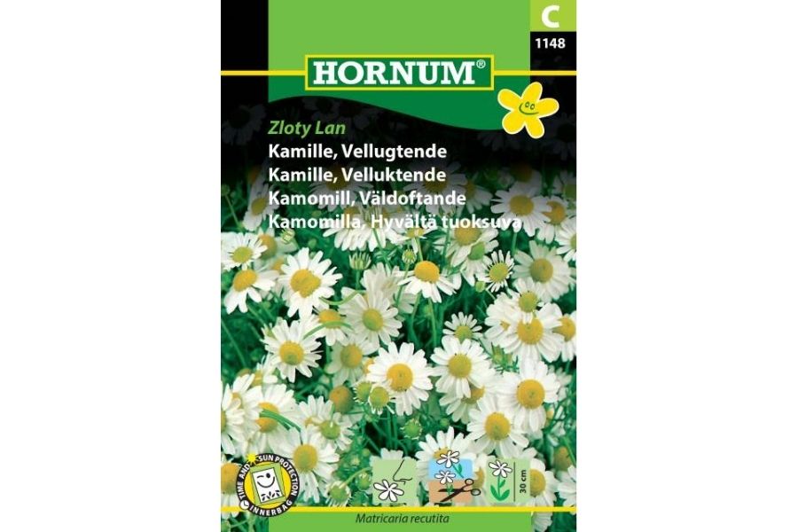 Frø Kamille ‘Velluktende Zloty Lan’ – Duftende Medisin- og Teplante