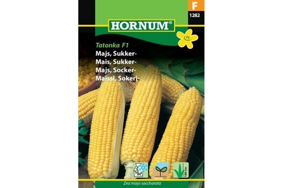 Mais 'Sukker Tatonka F1' – Ekstra Søt og Velsmakende