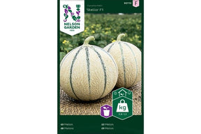 Rund, oransje melon med søtt og saftig fruktkjøtt.