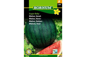 Liten, søt vannmelon med saftig fruktkjøtt, perfekt for sommeren