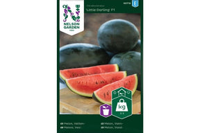 Liten, rund vannmelon med saftig og søtt fruktkjøtt.