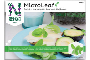 Små, spiselige blader av agurkurt med mild smak.Små, spiselige blader av agurkurt med mild smak.