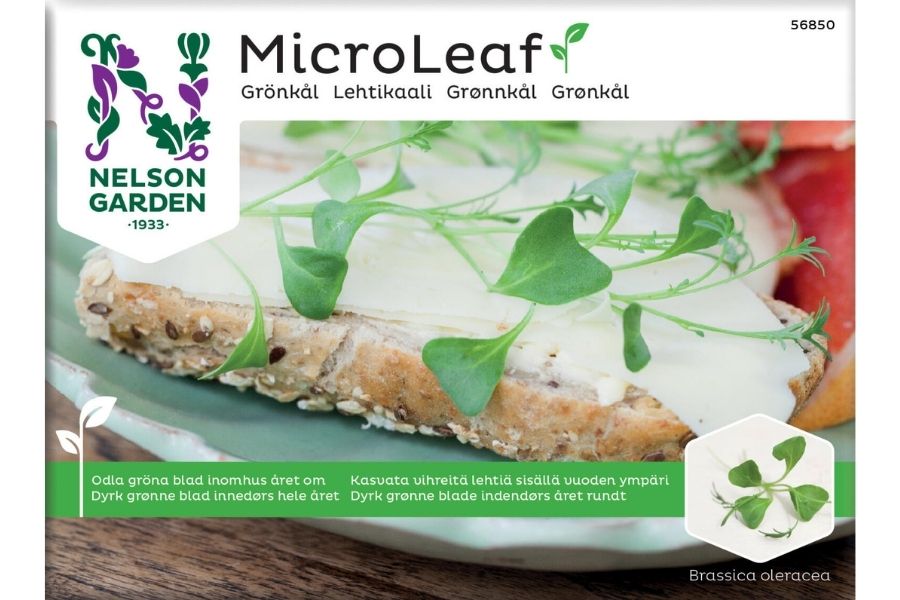 Micro Leaf grønnkål