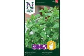 Frisk peppermynteplante med grønne, aromatiske blader.