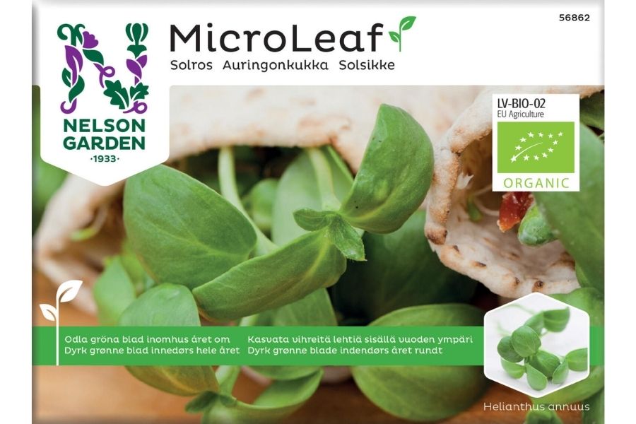 Økologisk Micro Leaf solsikke