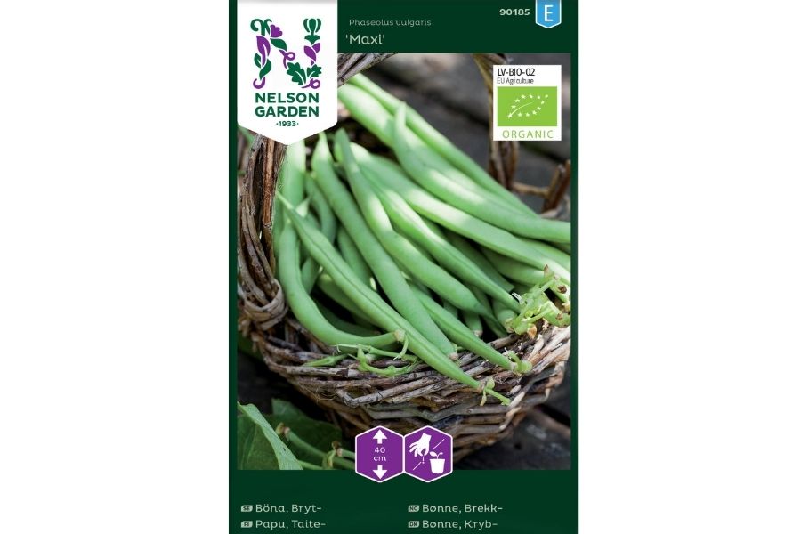 Økologisk, Bønne, Brekk, Maxi