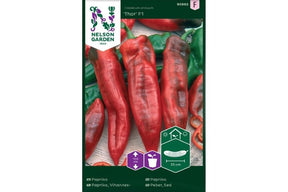 Paprika Thor F1-plante med store, saftige grønne frukter.