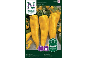Paprika Astor F1-plante med modne, sprø frukter.