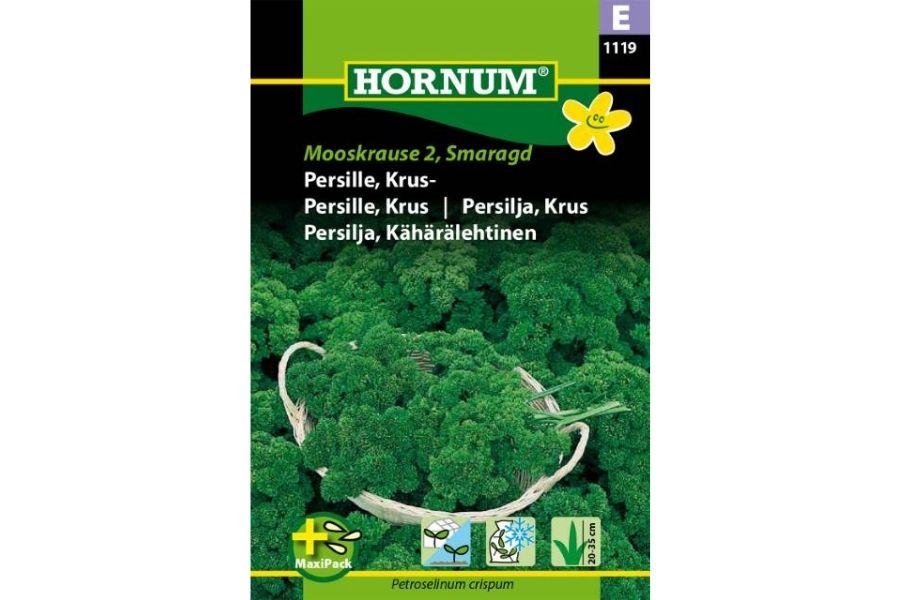 Persille Krus Moskrul 2 MaxiPack – Kraftigvoksende kruspersille for matlaging og frysing