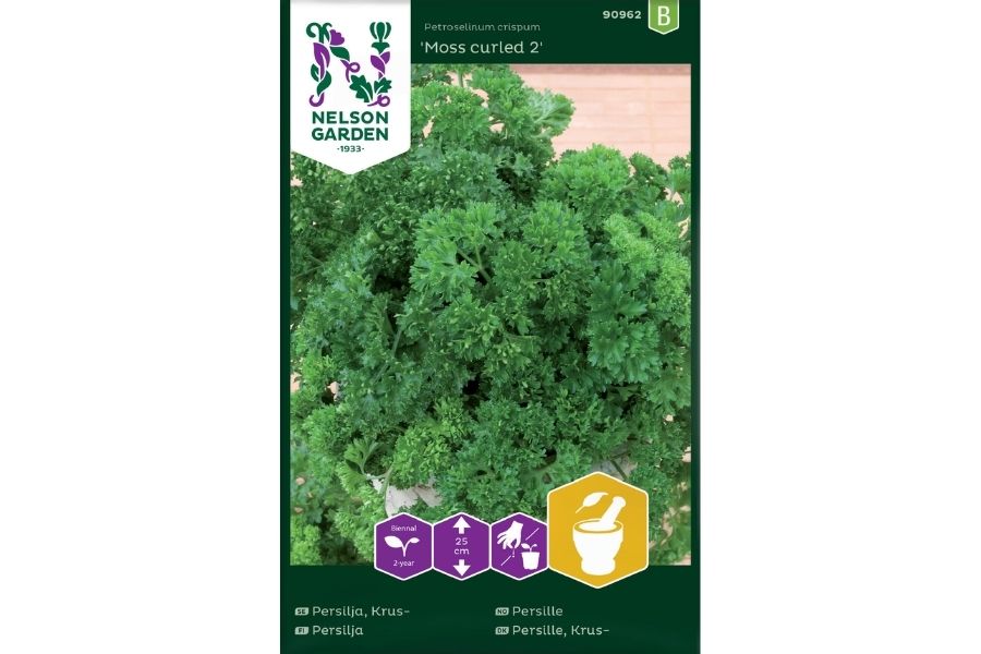 Persille 'Moss Curled 2' – Dekorativ og Aromatisk Krydderurt