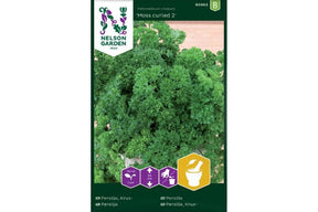 Kruset persille ‘Moss Curled 2’ med grønne, aromatiske blader.