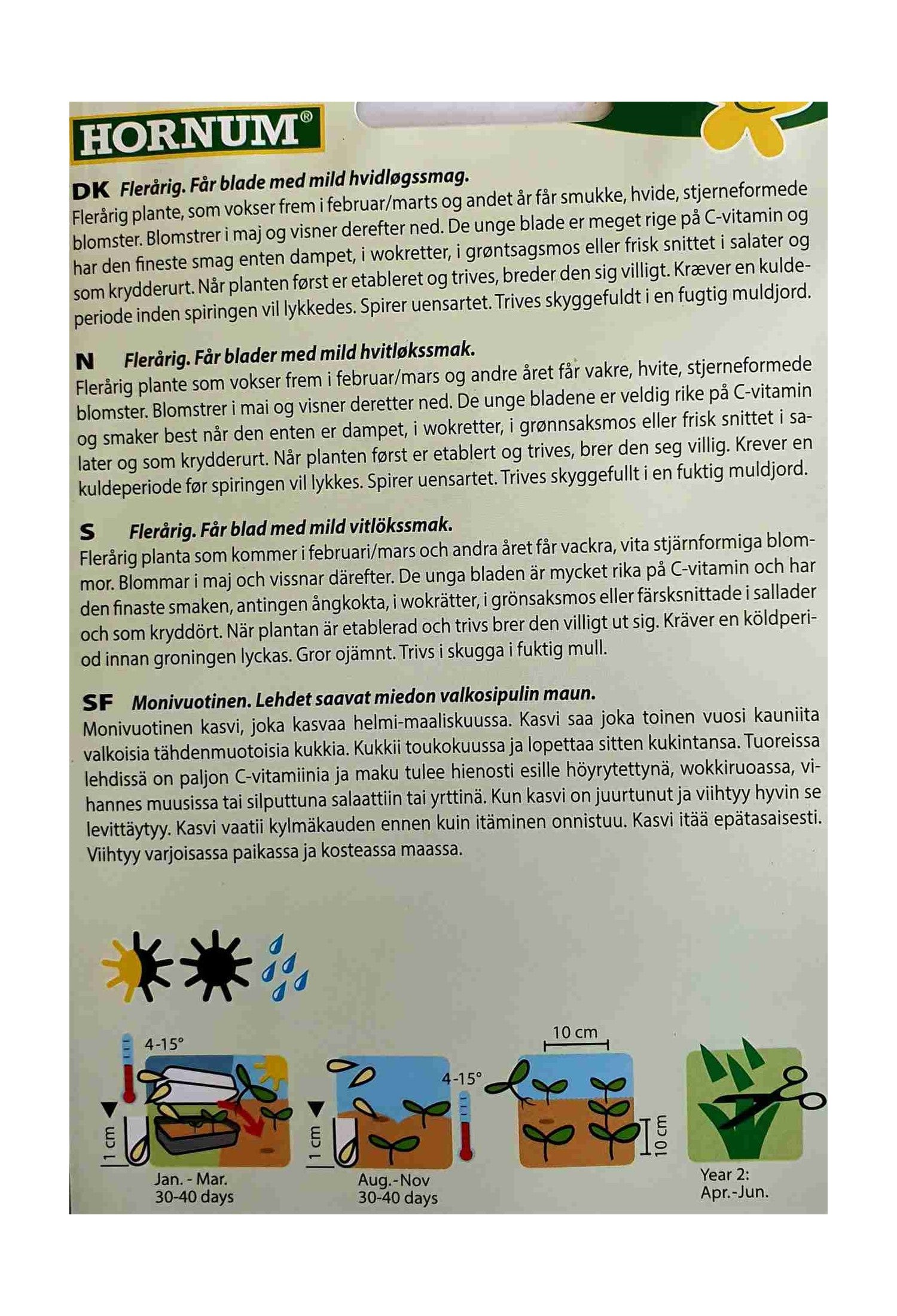 Ramsløk 'Forest Floor' – Flerårig Plante med Mild Hvitløkssmak