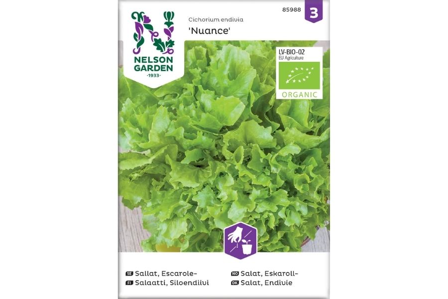 Salat, Eskaroll, Nuance, Økologisk