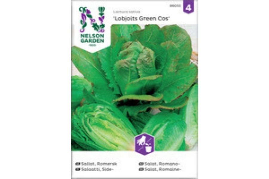 Salat, Romano Lobjoits Green Cos