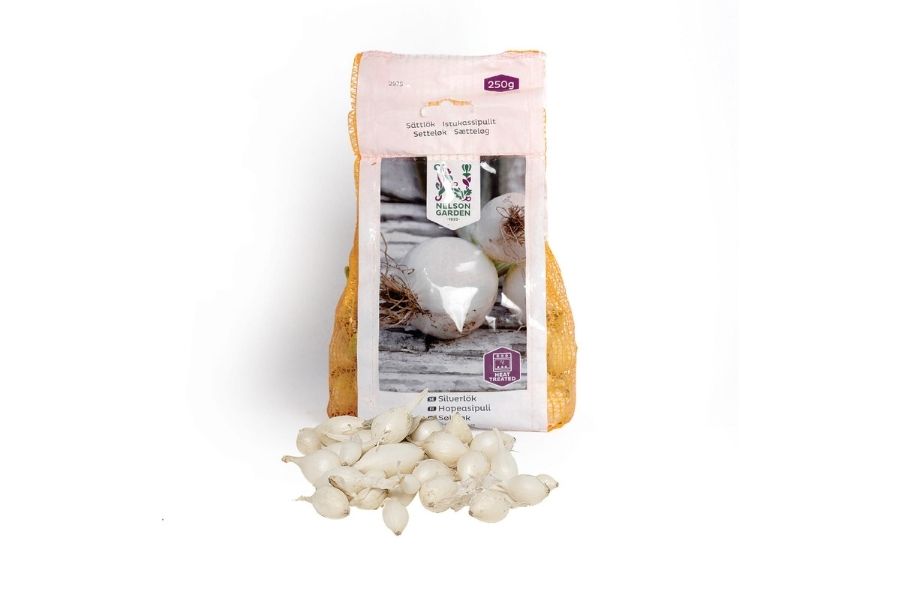 varmebehandlet Setteløk Sølvløk - Snowball - 250 g