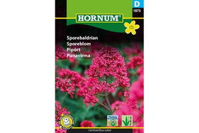 Dekorativ sporeblomst med fargerike blomster som klatrer lett i bed