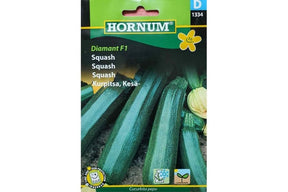 Grønn squashplante med avlange, glatte frukter i vekst