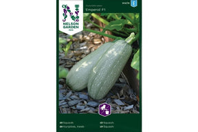Kraftig squashplante med lange, mørkegrønne frukter i vekst