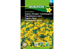 Fløyelsblomst med gule blomster og dekorative blader på planten
