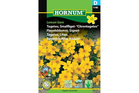 Gule tagetesblomster brukt som dekorativ sommerblomst og spiselig krydderurt