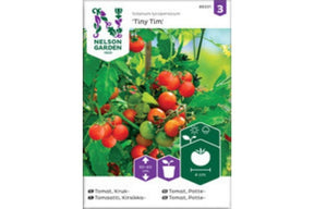 Kompakt tomatplante med små røde cherrytomater, egnet for potte