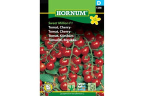 Tomatplante med mange små røde cherrytomater, kjent for rik og søt avling
