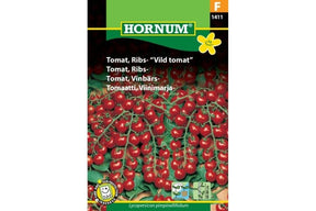 Vill tomatplante med svært små røde frukter i tette klaser