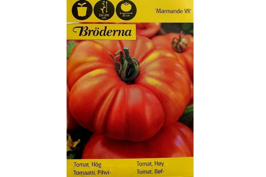 Tomat 'Marmande' – Klassisk Bifftomat fra Sør-Frankrike